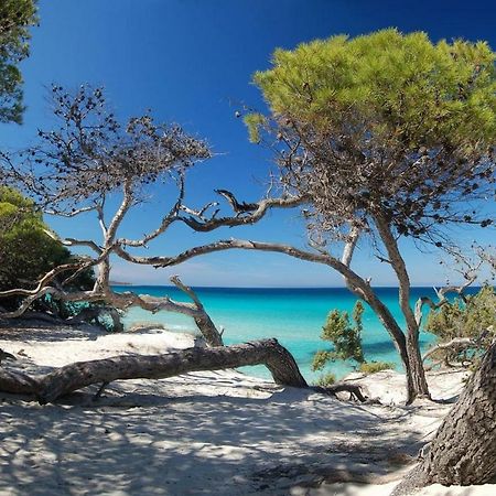 T2 Pour 4 Pers, Charmante Residence Avec Piscine Oletta Kültér fotó